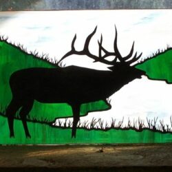 Elk 1